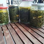 Kaya Koruğu Turşusu